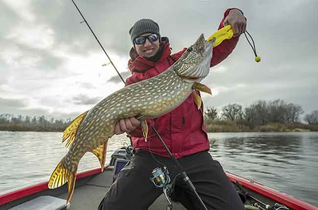 Winnipeg Fishing Lodge Charters